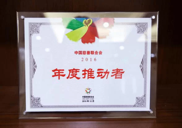 中国慈善联合会2016年度推动者